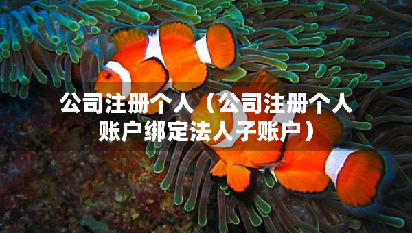 公司注册个人（公司注册个人账户绑定法人子账户）