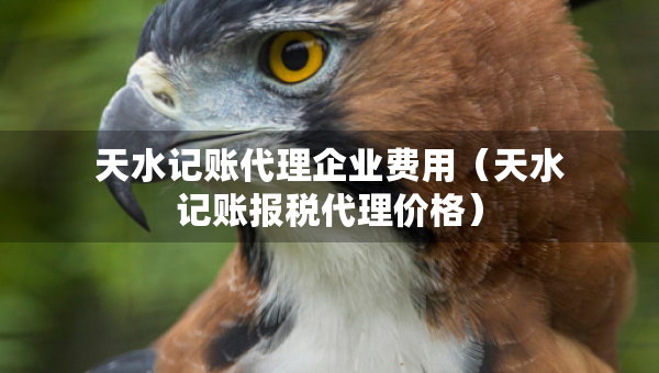 天水记账代理企业费用（天水记账报税代理价格）