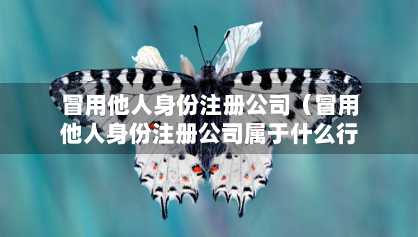 冒用他人身份注册公司（冒用他人身份注册公司属于什么行为）