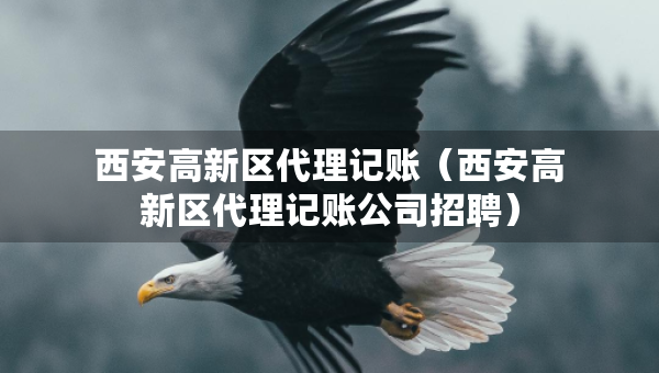 西安高新区代理记账（西安高新区代理记账公司招聘）