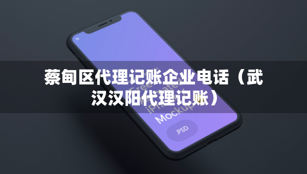 蔡甸区代理记账企业电话（武汉汉阳代理记账）