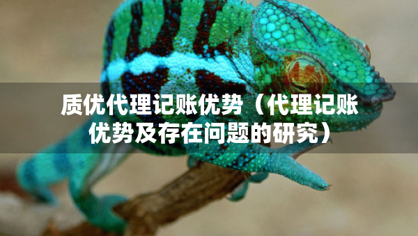 质优代理记账优势（代理记账优势及存在问题的研究）