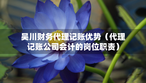 吴川财务代理记账优势（代理记账公司会计的岗位职责）