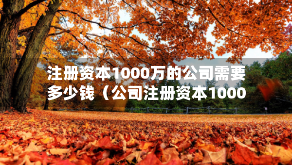 注册资本1000万的公司需要多少钱（公司注册资本1000万要拿出多少钱）
