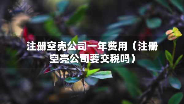 注册空壳公司一年费用（注册空壳公司要交税吗）