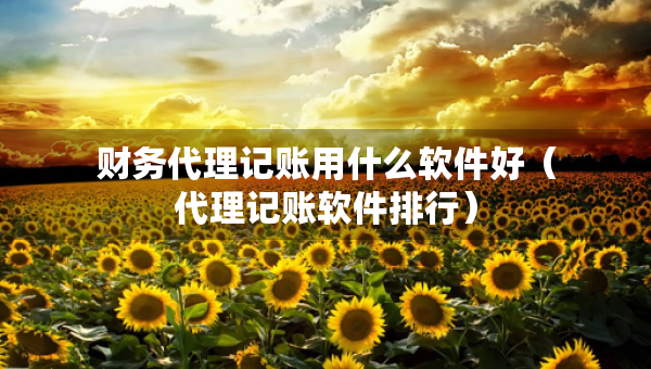财务代理记账用什么软件好（代理记账软件排行）