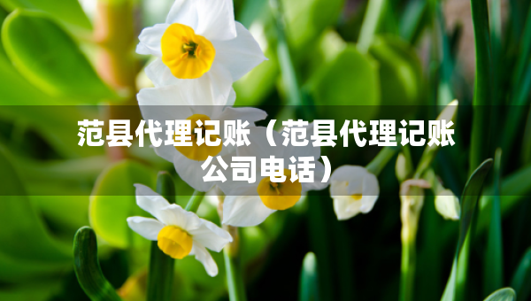 范县代理记账（范县代理记账公司电话）