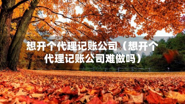 想开个代理记账公司（想开个代理记账公司难做吗）