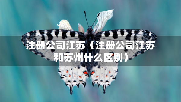 注册公司江苏（注册公司江苏和苏州什么区别）