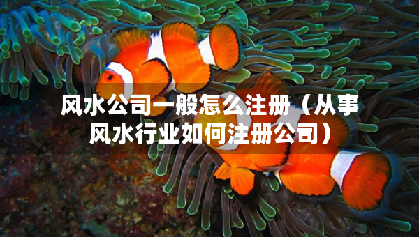 风水公司一般怎么注册（从事风水行业如何注册公司）
