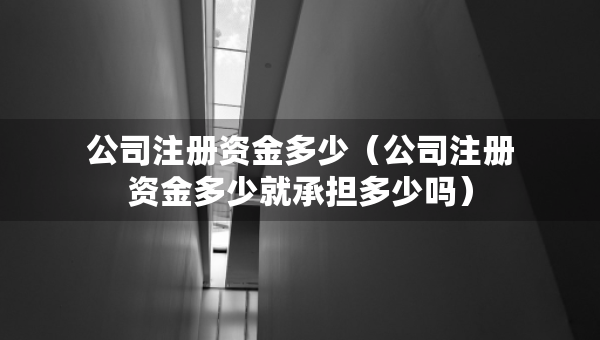 公司注册资金多少（公司注册资金多少就承担多少吗）