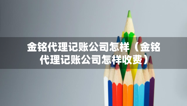 金铭代理记账公司怎样（金铭代理记账公司怎样收费）