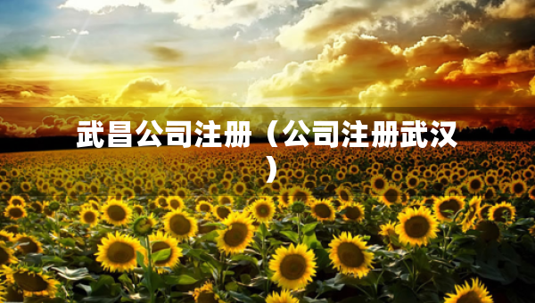 武昌公司注册（公司注册武汉）