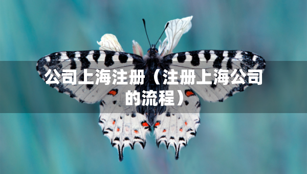 公司上海注册（注册上海公司的流程）