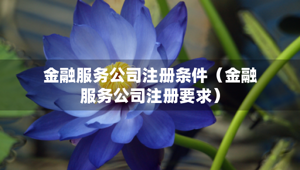 金融服务公司注册条件（金融服务公司注册要求）