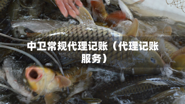 中卫常规代理记账（代理记账 服务）