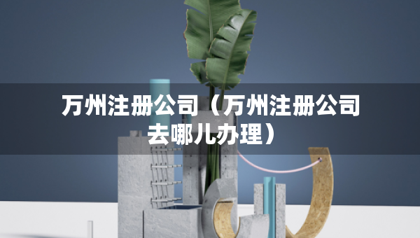 万州注册公司（万州注册公司去哪儿办理）