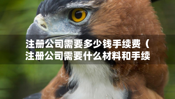 注册公司需要多少钱手续费（注册公司需要什么材料和手续）