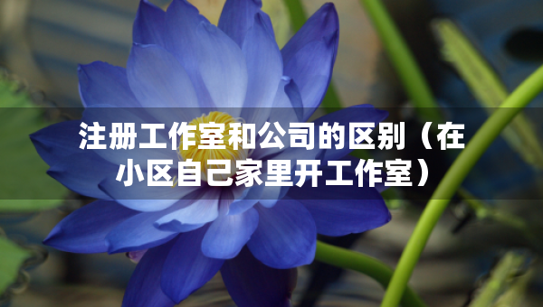 注册工作室和公司的区别（在小区自己家里开工作室）