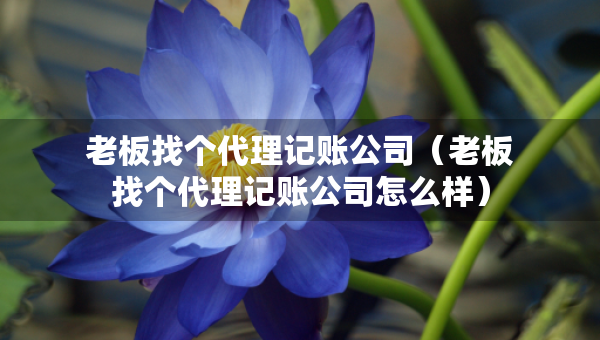 老板找个代理记账公司（老板找个代理记账公司怎么样）