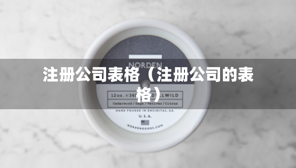 注册公司表格（注册公司的表格）