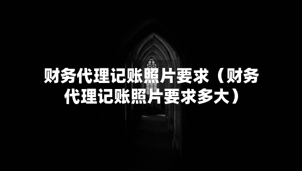 财务代理记账照片要求（财务代理记账照片要求多大）