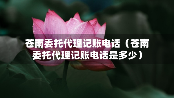 苍南委托代理记账电话（苍南委托代理记账电话是多少）