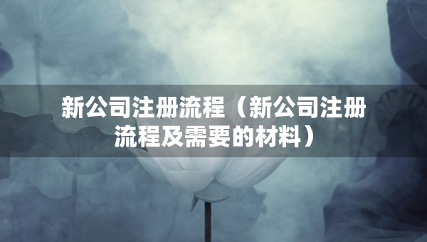 新公司注册流程（新公司注册流程及需要的材料）