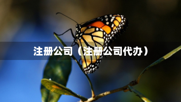 注册公司（注册公司代办）