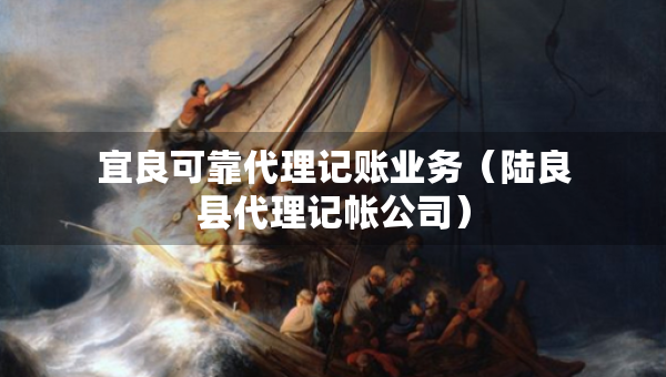 宜良可靠代理记账业务（陆良县代理记帐公司）