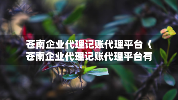 苍南企业代理记账代理平台（苍南企业代理记账代理平台有哪些）