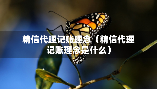 精信代理记账理念（精信代理记账理念是什么）
