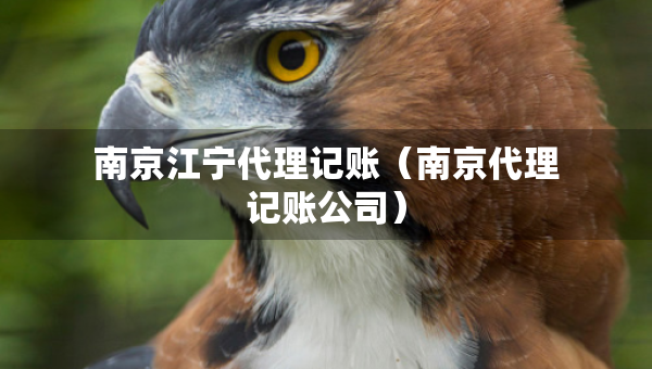 南京江宁代理记账（南京代理记账公司）