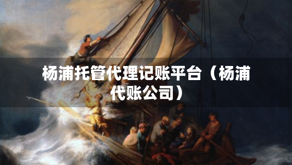 杨浦托管代理记账平台(杨浦代账公司) 杨浦托管代理记账平台(杨浦代账公司)