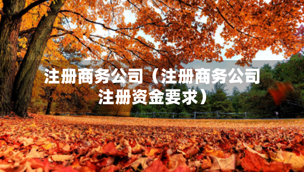 注册商务公司（注册商务公司注册资金要求）