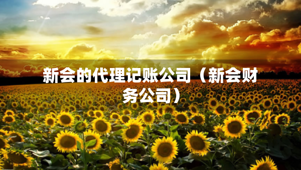 新会的代理记账公司（新会财务公司）