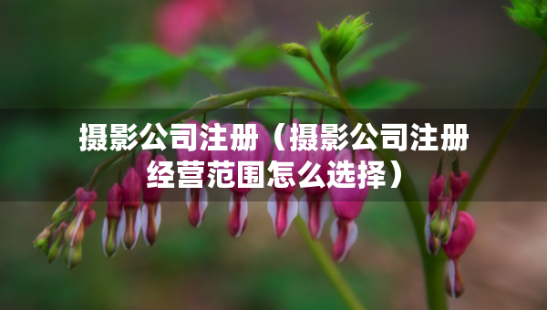 摄影公司注册（摄影公司注册经营范围怎么选择）