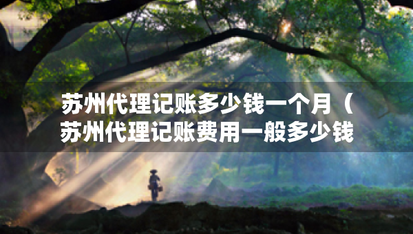 苏州代理记账多少钱一个月（苏州代理记账费用一般多少钱一个月）