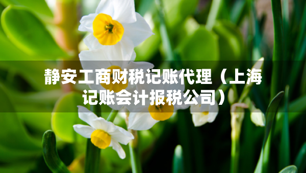静安工商财税记账代理（上海记账会计报税公司）