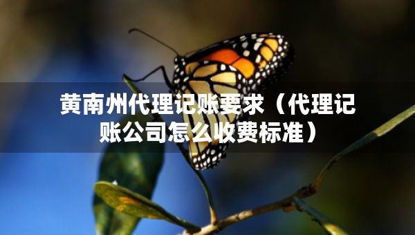 黄南州代理记账要求（代理记账公司怎么收费标准）