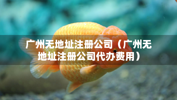 广州无地址注册公司（广州无地址注册公司代办费用）