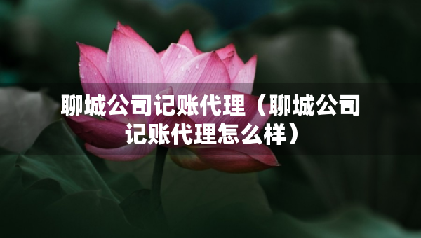 聊城公司记账代理（聊城公司记账代理怎么样）