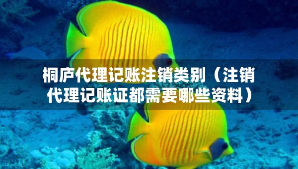 桐庐代理记账注销类别（注销代理记账证都需要哪些资料）