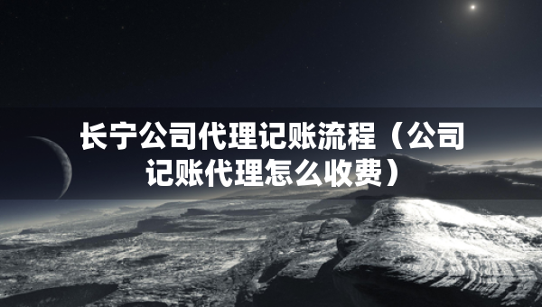 长宁公司代理记账流程（公司记账代理怎么收费）
