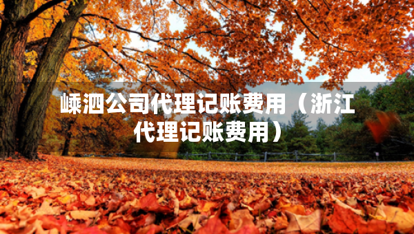 嵊泗公司代理记账费用（浙江代理记账费用）