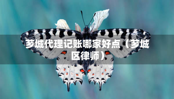 芗城代理记账哪家好点（芗城区律师）