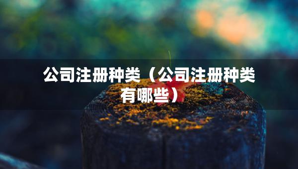 公司注册种类（公司注册种类有哪些）