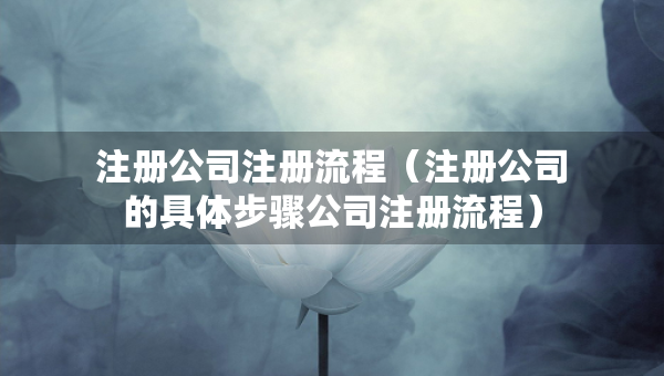 注册公司注册流程（注册公司的具体步骤公司注册流程）