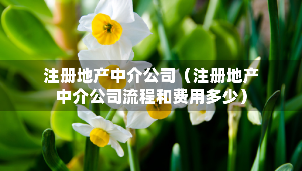 注册地产中介公司（注册地产中介公司流程和费用多少）