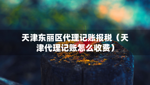 天津东丽区代理记账报税（天津代理记账怎么收费）